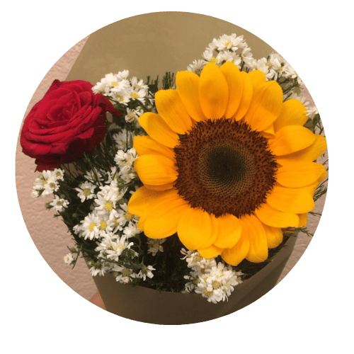 Floricultura online em natal vida florida