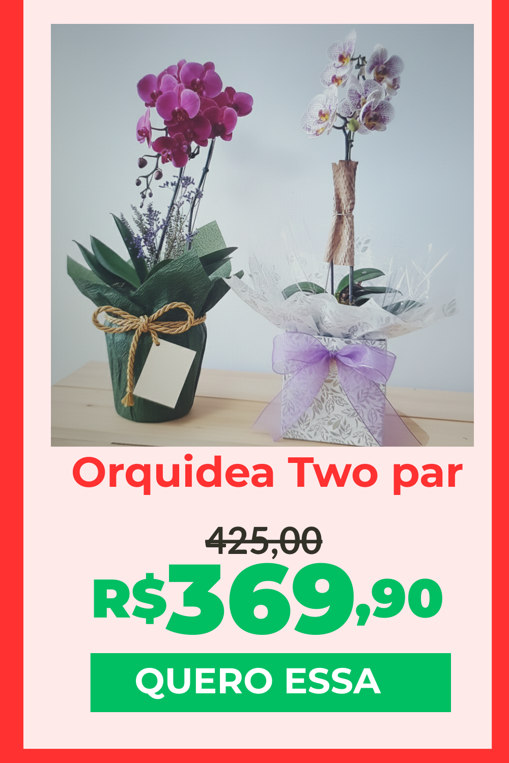 orquídea para presente (3)